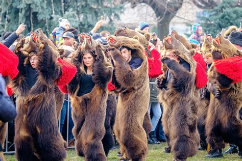 bear dancing porn